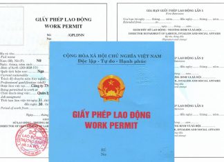 Hiện nay việc xin cấp giấy phép lao động cho người nước ngoài có điều kiện gì không ?
